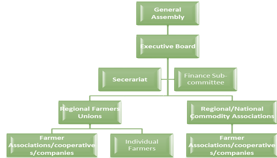 ESNAU organizational structure organogram